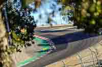 Laguna-Seca;event-digital-images;motorbikes;no-limits;peter-wileman-photography;trackday;trackday-digital-images